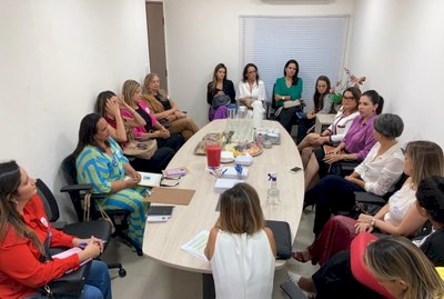 Procuradoras regionais Eleitoral e dos Direitos do Cidadão na Paraíba participam de evento por mais mulheres na política