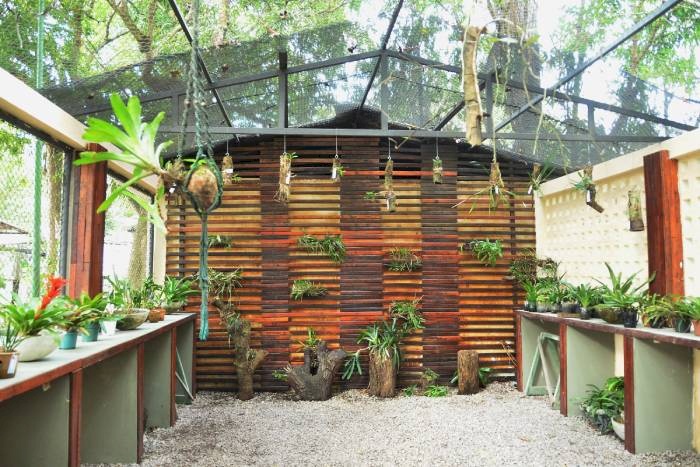 Parque Arruda Câmara comemora Dia Mundial da Botânica