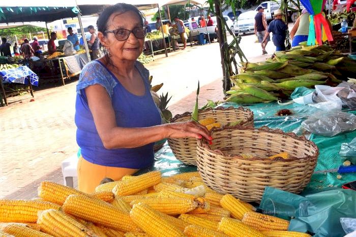 Festival do Milho, na Central de Comercialização da Agricultura Familiar (Cecaf)
