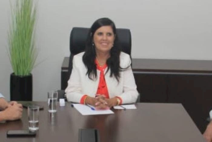 Reunião da bancada federal (deputados e senadores), em Brasília