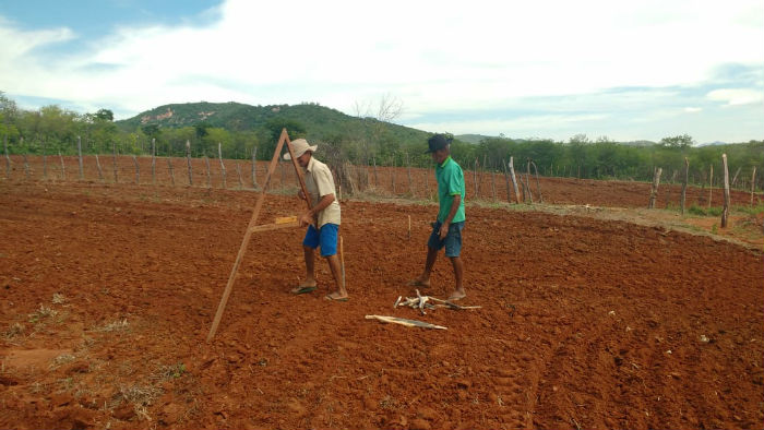 Terreno