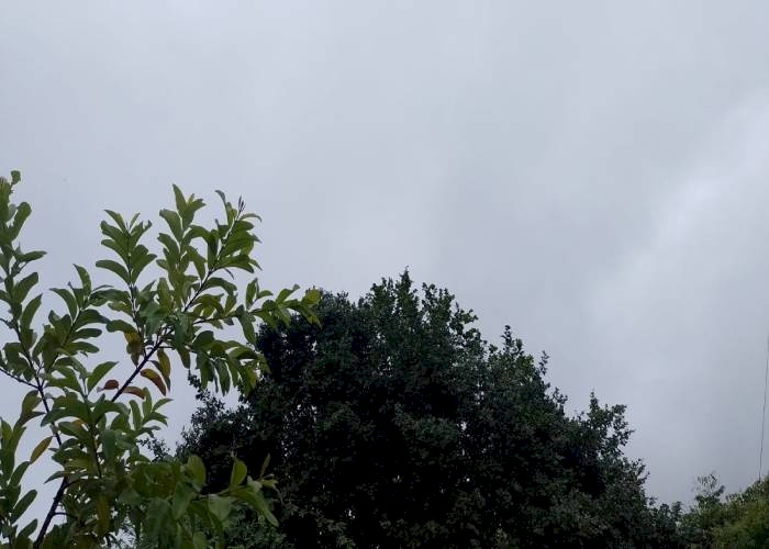 Pancadas de chuva no Sertão paraibano