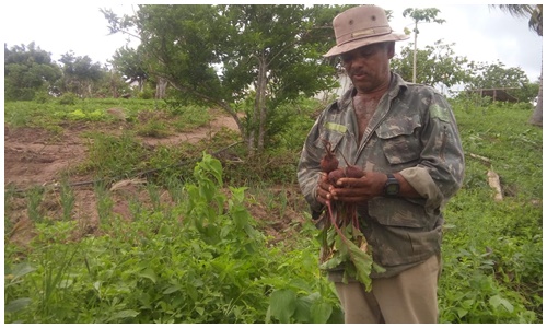Agricultor 