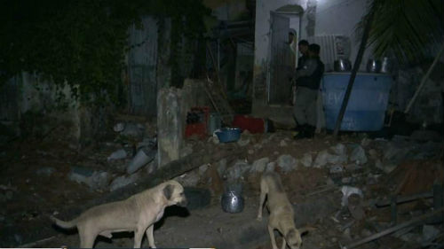 Cachorros 