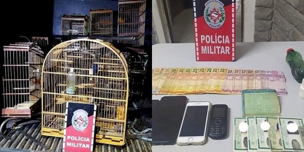 Polícia apreende adolescentes suspeitos de prática de vários atos infracionais semelhantes a roubos