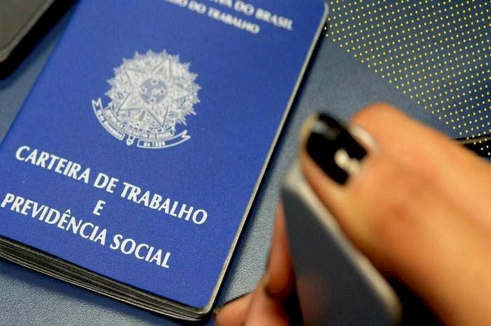 Taxa de desocupação foi de 8% no trimestre encerrado em junho