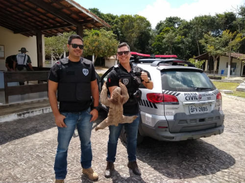 Divulgação