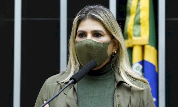 Projeto de Edna Henrique quer proibição de condenados por violência doméstica ou stalking em concursos na área de segurança pública