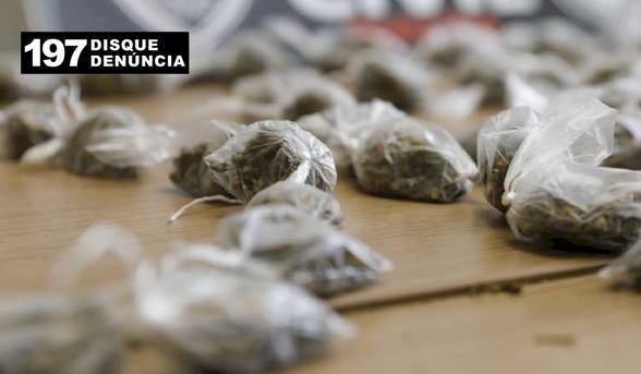 Drogas apreendidas em ação do GTE