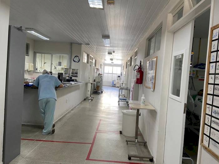 Serviço de saúde e a humanização do atendimento prestados no Hospital Municipal Santa Isabel