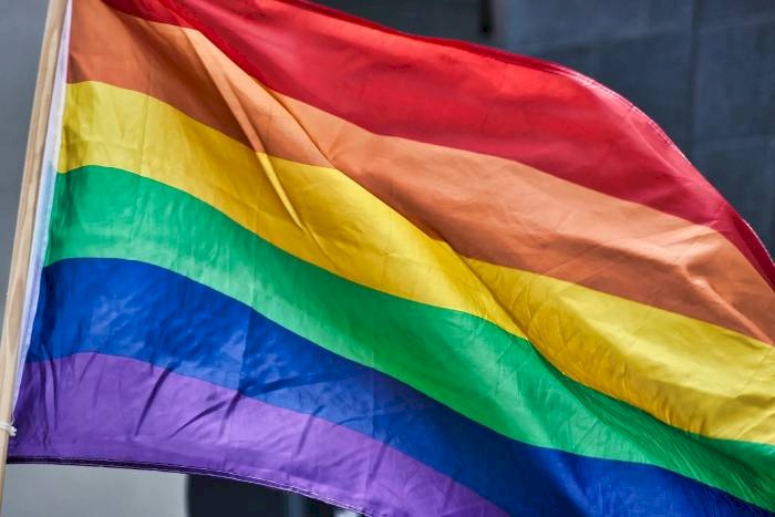 Guia de Enfrentamento à LGBTQUIAPNb+ Fobi