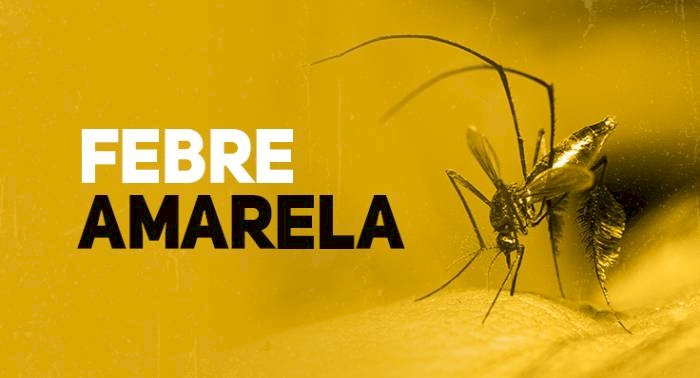 Febre Amarela