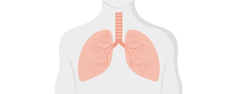 Doenças respiratórias 