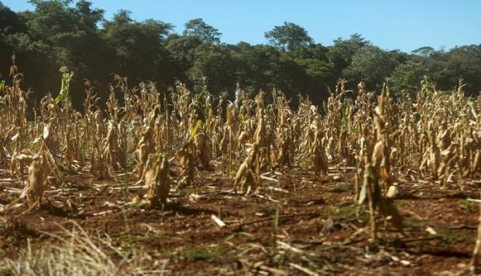 Situação de emergência em mais quatro cidades paraibanas