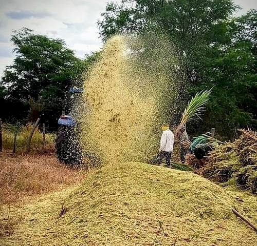 Fortalecimento da agricultura familiar ao homem do campo do município de Aparecida