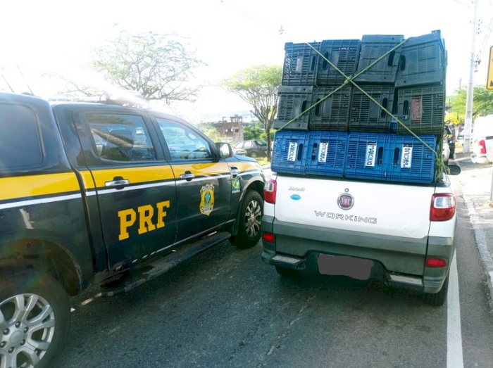 Ações da PRF no estado da Paraíba