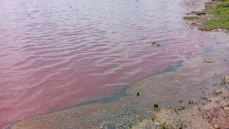 Poluição na área do Parque das Três Lagoas