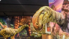 Vale dos Dinossauros