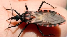 Imagem de um barbeiro 