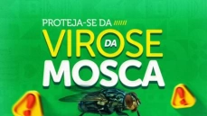 Alerta sobre os perigos das moscas na transmissão de doenças