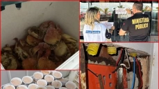 Fiscalização do MP-Procon e Vigilância Sanitária de JP