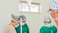 Cirurgias de castração de cães e gatos