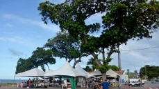 Edição especial da Feira Móvel