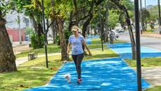 Afeto entre os pets e seus tutores