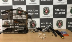 Material ilícito apreendido em ação da PM