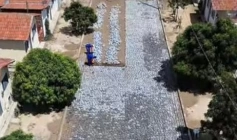 Obra de pavimentação no Sítio Coréia, em Lastro