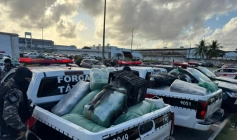 Droga apreendida em ação da Polícia Militar