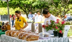 Programa Eu Posso Semear