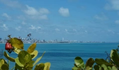 Presença da PB na 30ª Conferência das Nações Unidas sobre Mudança Climática (COP30) 