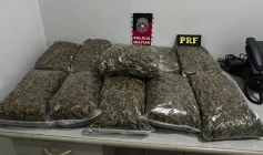 Drogas apreendidas em ação da PM e da PRF