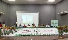 Paraíba é pioneira no desenvolvimento e produção de acerola mais saborosa e rentável