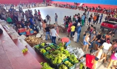Entrega de cetas do PAA em Aparecida 