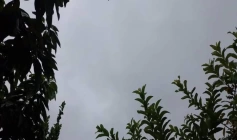 Alerta amarelo para chuvas intensas