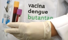 Vacina contra a Dengue 