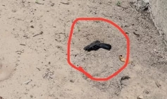 Pistola apreendida em ação da DCCPAT 