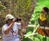 O Ministério do Turismo lançou o Catálogo de Experiências de Turismo de Observação de Aves