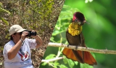 O Ministério do Turismo lançou o Catálogo de Experiências de Turismo de Observação de Aves