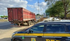 Irregularidade no transporte de animais