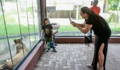 Parque Zoobotânico Arruda Câmara, Bica