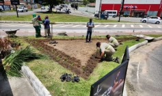 Árvores urbanas e plantas ornamentais