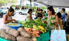 Programa ‘Eu Posso Semear’ 