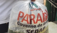 Produção aproximada de 7 milhões de alevinos