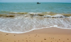 Secretaria Municipal de Saúde de João Pessoa chama atenção para acidentes com águas-vivas