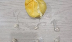 Drogas apreendidas pela Rotam no município de Sapé 