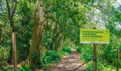 Jardim Botânico Benjamin Maranhão, em João Pessoa