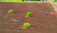 Preparo do Solo no Assentamento Nova Vida I